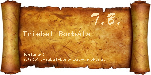 Triebel Borbála névjegykártya